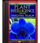 Plant Intelligence and the Imaginal Realm: Beyond the Doors of Perception into the Dreaming of Earth